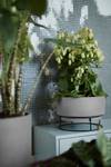 b.for studio coupe 30cm living ciment